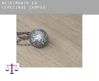 Matrimonio en  Cerecinos de Campos