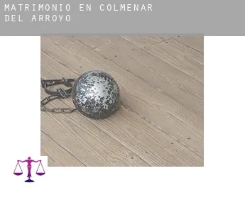 Matrimonio en  Colmenar del Arroyo