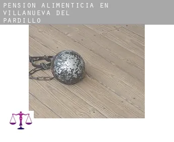 Pensión alimenticia en  Villanueva del Pardillo