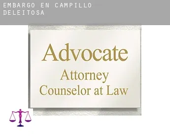 Embargo en  Campillo de Deleitosa