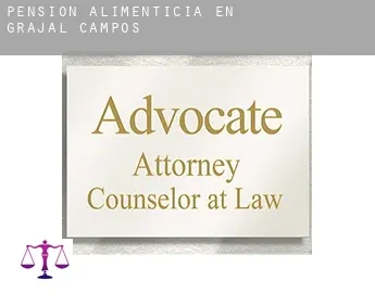 Pensión alimenticia en  Grajal de Campos