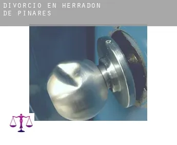Divorcio en  Herradón de Pinares