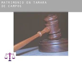 Matrimonio en  Támara de Campos