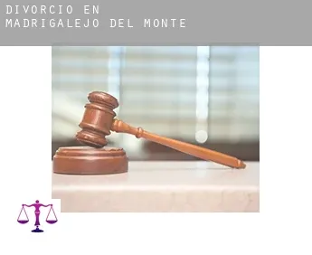 Divorcio en  Madrigalejo del Monte
