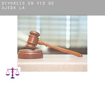Divorcio en  Vid de Ojeda (La)