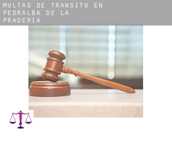 Multas de tránsito en  Pedralba de la Pradería