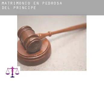 Matrimonio en  Pedrosa del Príncipe