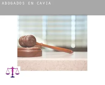 Abogados en  Cavia