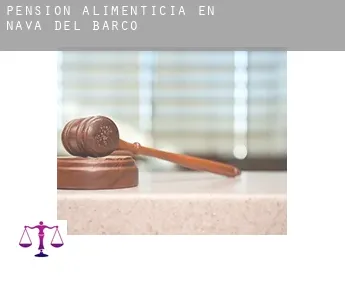 Pensión alimenticia en  Nava del Barco