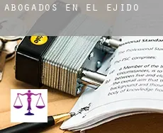 Abogados en El Ejido