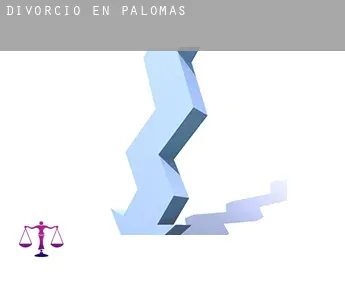 Divorcio en  Palomas