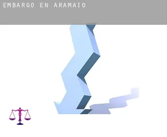 Embargo en  Aramaio