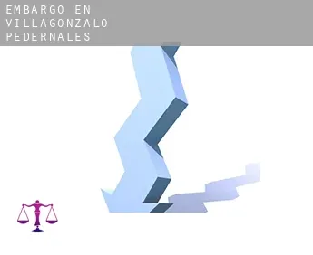 Embargo en  Villagonzalo-Pedernales