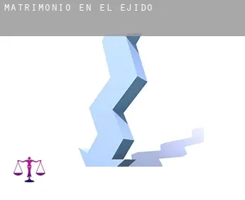 Matrimonio en  El Ejido