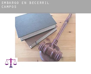 Embargo en  Becerril de Campos
