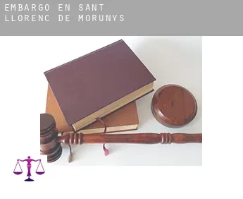 Embargo en  Sant Llorenç de Morunys