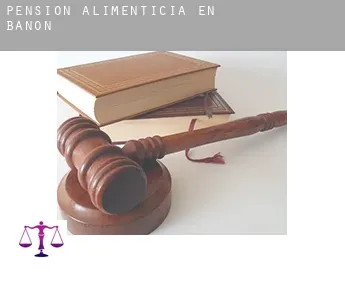 Pensión alimenticia en  Bañón