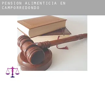 Pensión alimenticia en  Camporredondo