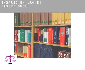 Embargo en  Urones de Castroponce