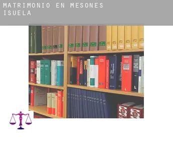 Matrimonio en  Mesones de Isuela
