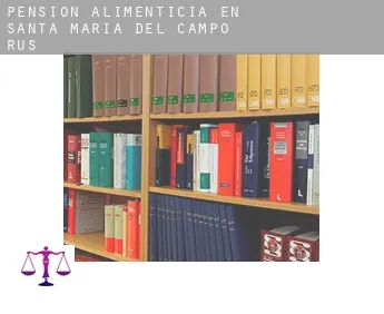 Pensión alimenticia en  Santa María del Campo Rus