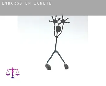 Embargo en  Bonete