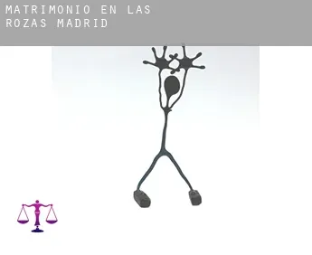 Matrimonio en  Las Rozas de Madrid