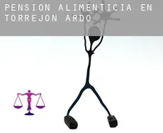 Pensión alimenticia en Torrejón de Ardoz