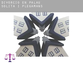 Divorcio en Palau-solità i Plegamans
