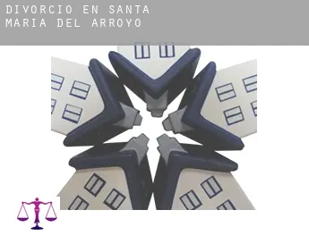 Divorcio en  Santa María del Arroyo