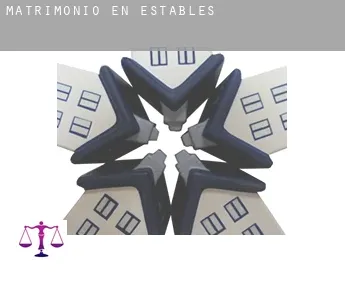 Matrimonio en  Establés