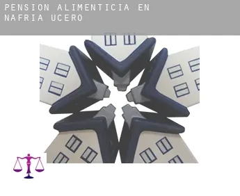 Pensión alimenticia en  Nafría de Ucero
