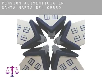 Pensión alimenticia en  Santa Marta del Cerro