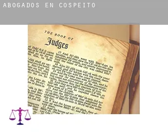 Abogados en  Cospeito
