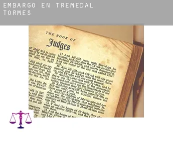 Embargo en  Tremedal de Tormes