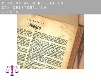 Pensión alimenticia en  San Cristóbal de la Cuesta