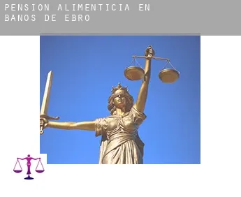 Pensión alimenticia en  Mañueta / Baños de Ebro