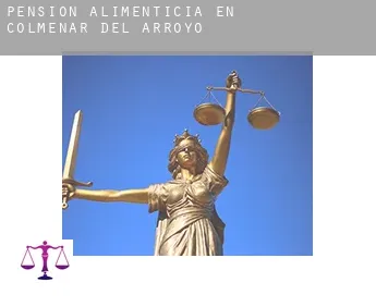 Pensión alimenticia en  Colmenar del Arroyo