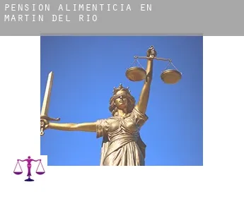 Pensión alimenticia en  Martín del Río