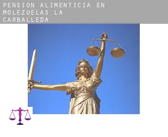 Pensión alimenticia en  Molezuelas de la Carballeda