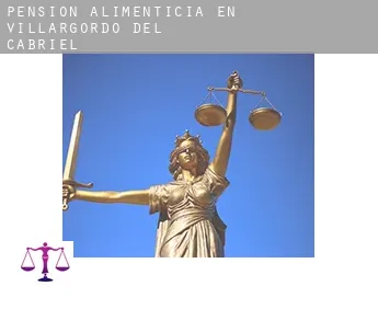 Pensión alimenticia en  Villargordo del Cabriel