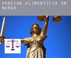 Pensión alimenticia en Burgos