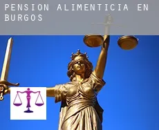 Pensión alimenticia en Burgos