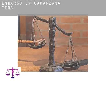 Embargo en  Camarzana de Tera