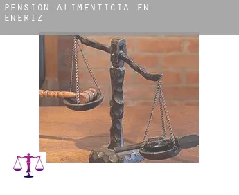Pensión alimenticia en  Enériz