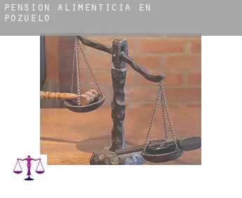 Pensión alimenticia en Pozuelo
