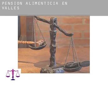 Pensión alimenticia en  Vallés