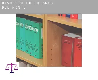 Divorcio en  Cotanes del Monte