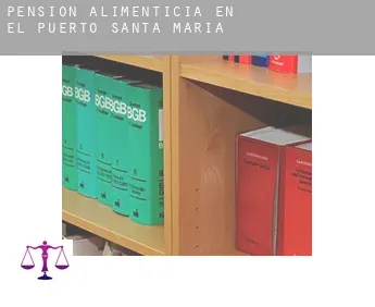 Pensión alimenticia en  El Puerto de Santa María