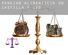 Pensión alimenticia en  Castilla y León
